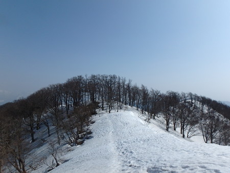 15032218