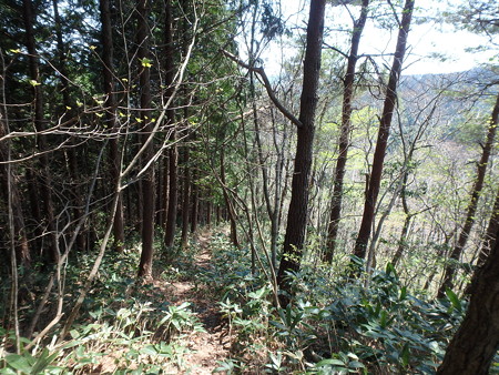 P4260092