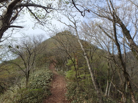 P4290030