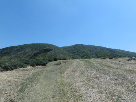 P5020078