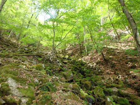 P5060097