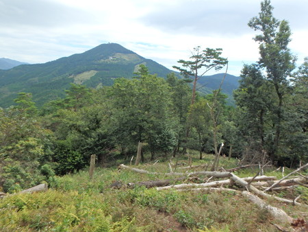P9030102