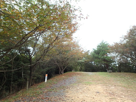 PA220036
