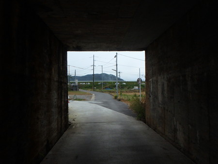 PA220040