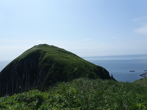 Dsc 15 桃岩展望台から見た桃岩は 岩の表面に草がびっしり生えてます どうやって栄養をとっているのかしら 写真共有サイト フォト蔵