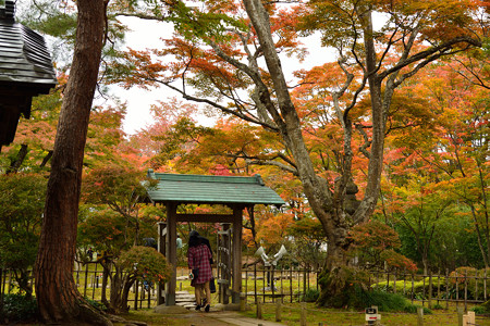 もみじ園