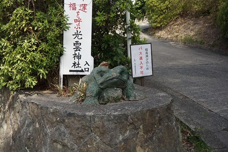 2015年3月30日 西公園 桜 福岡 さくら 写真 (22)