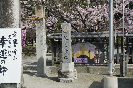 2015年3月30日 西公園 桜 福岡 さくら 写真 (109)