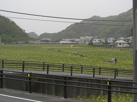 CIMG3565