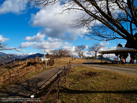 大野山の山頂