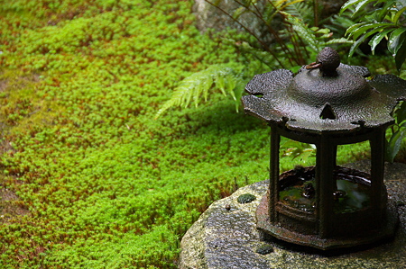東福寺　方丈庭園