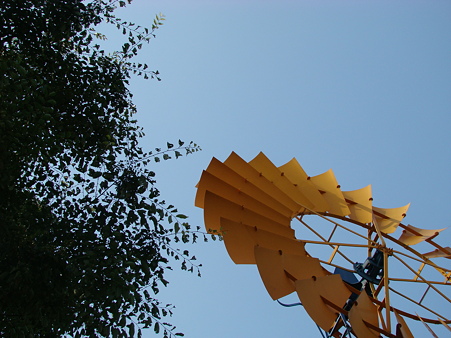 万博公園 2010-6-12