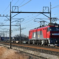 貨物列車 (EH500-15)
