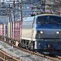 貨物列車 (EF66116)