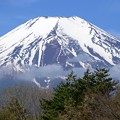 ５月３日の富士山