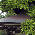 円覚寺仏殿20160907