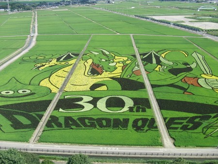 CIMG1994