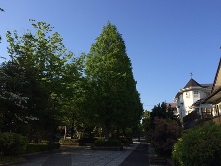 image1