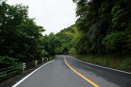 高知ドライブ (6)