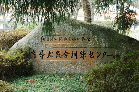 DSC00212