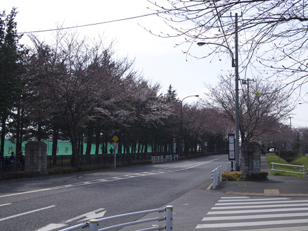 調布飛行場入口