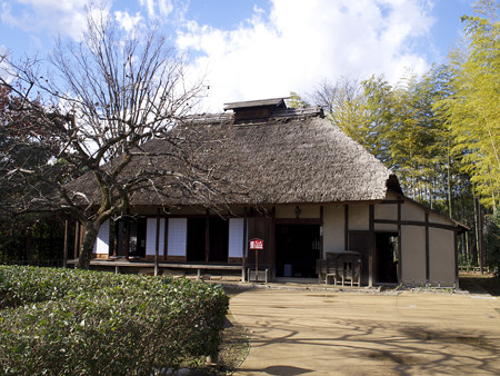 画角確認(17mm)