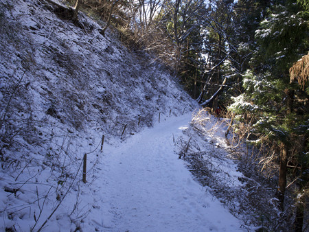 最も雪が深かった場所(紅葉台)