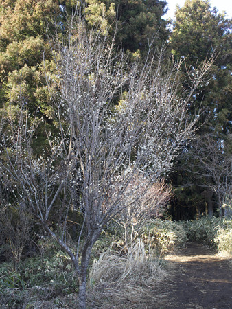 城山山頂にて