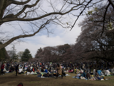 砧公園(2)