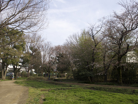 次大夫堀公園(3)