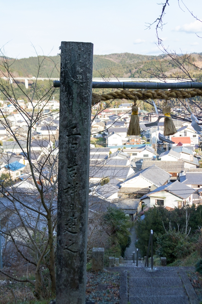 IMG_9655 写真: IMG_9655