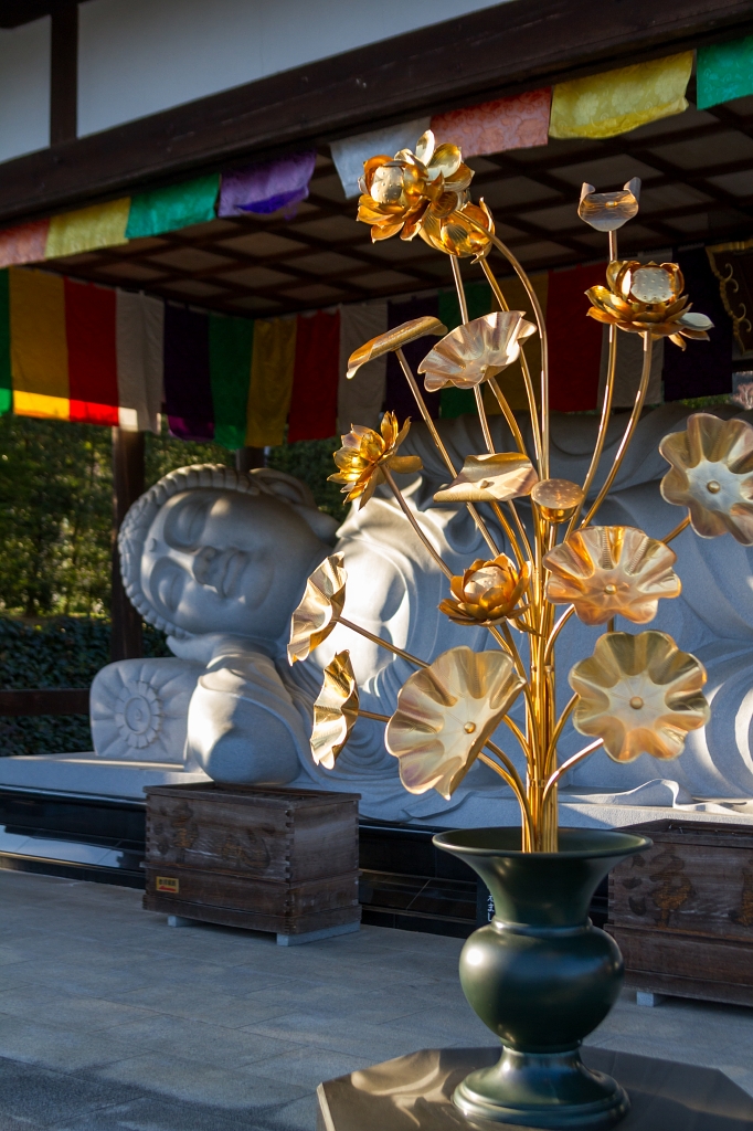 IMG_9703 写真: IMG_9703