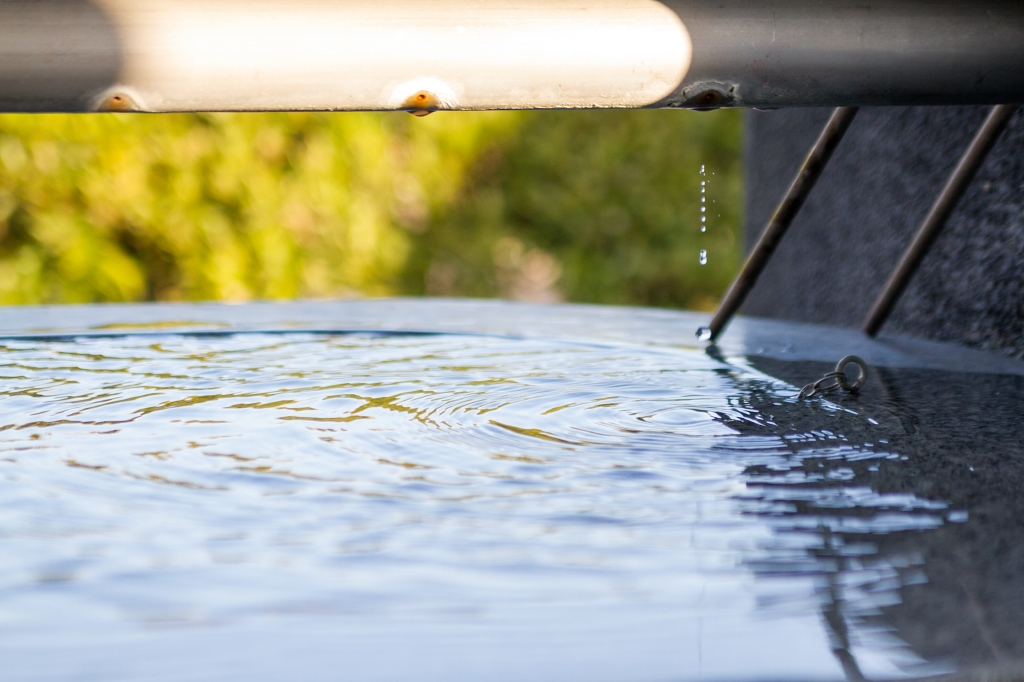 IMG_9723 写真: IMG_9723