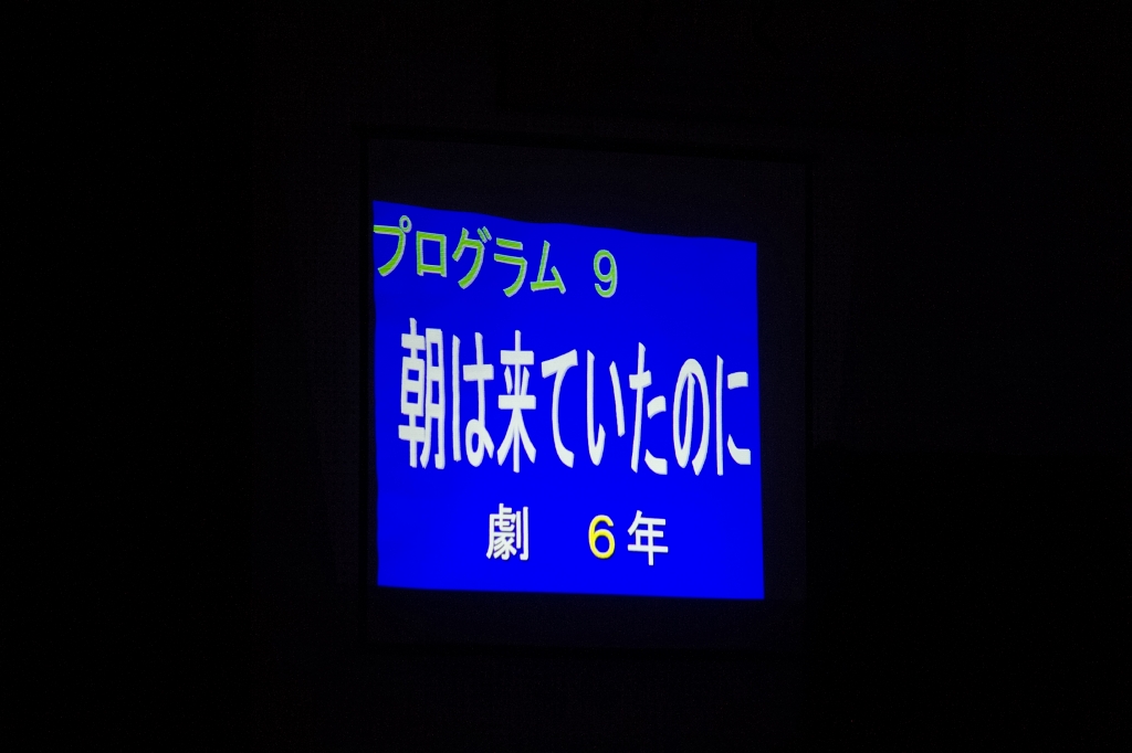 写真: IMG_0304