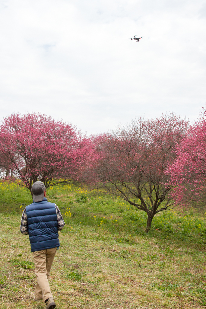 写真: IMG_2386