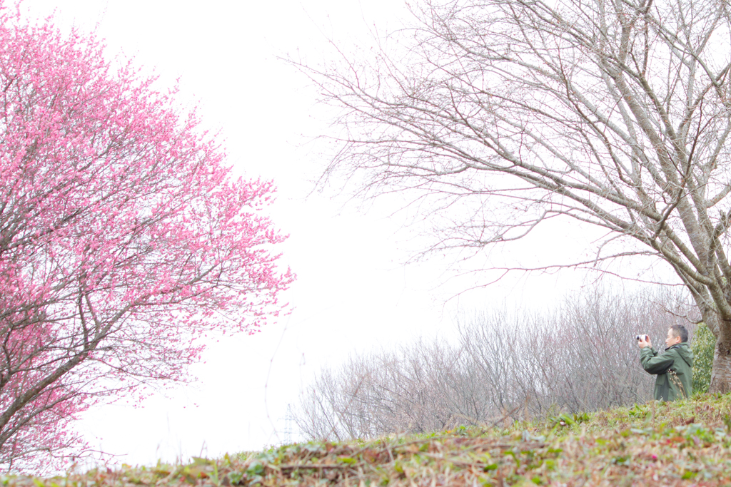 写真: IMG_2507