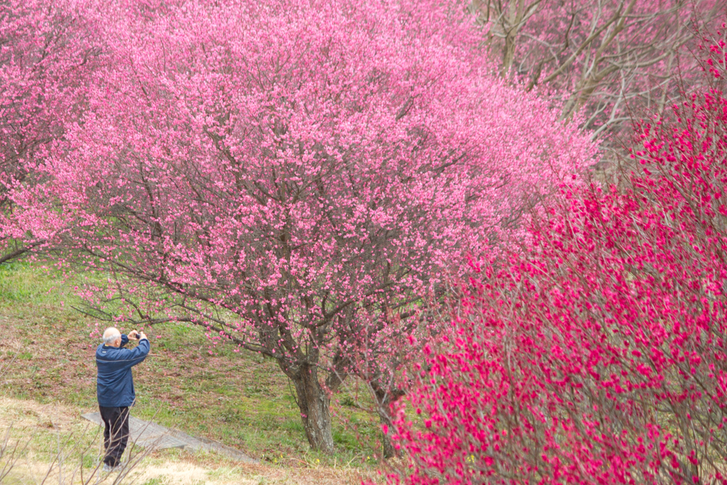 写真: IMG_2523