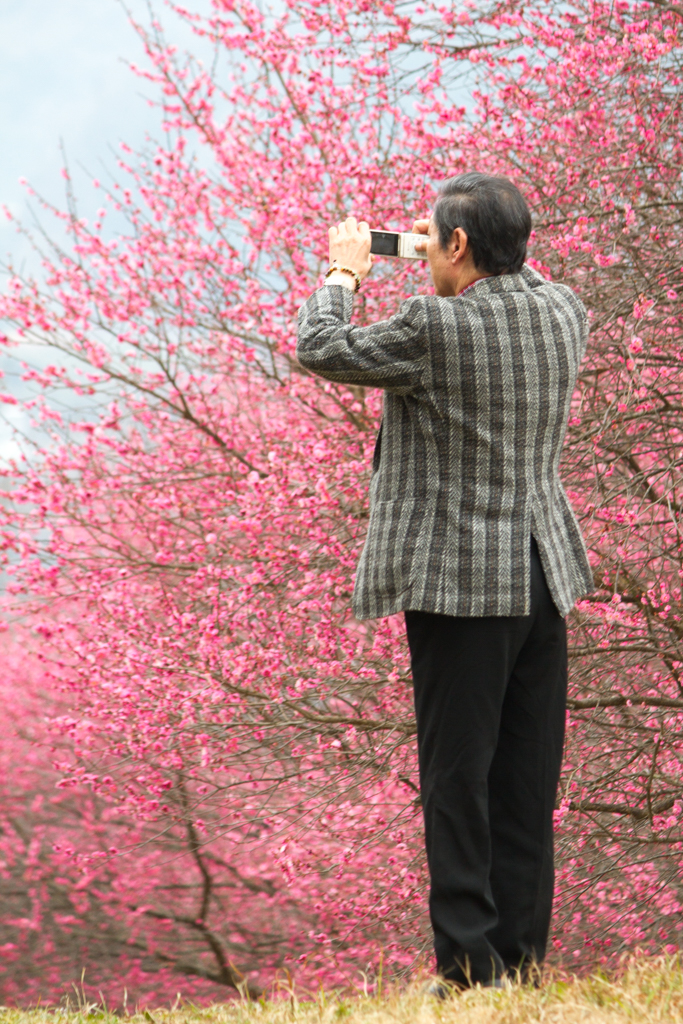 写真: IMG_2598