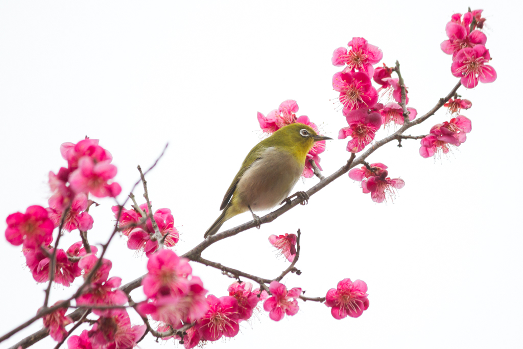 写真: IMG_2760