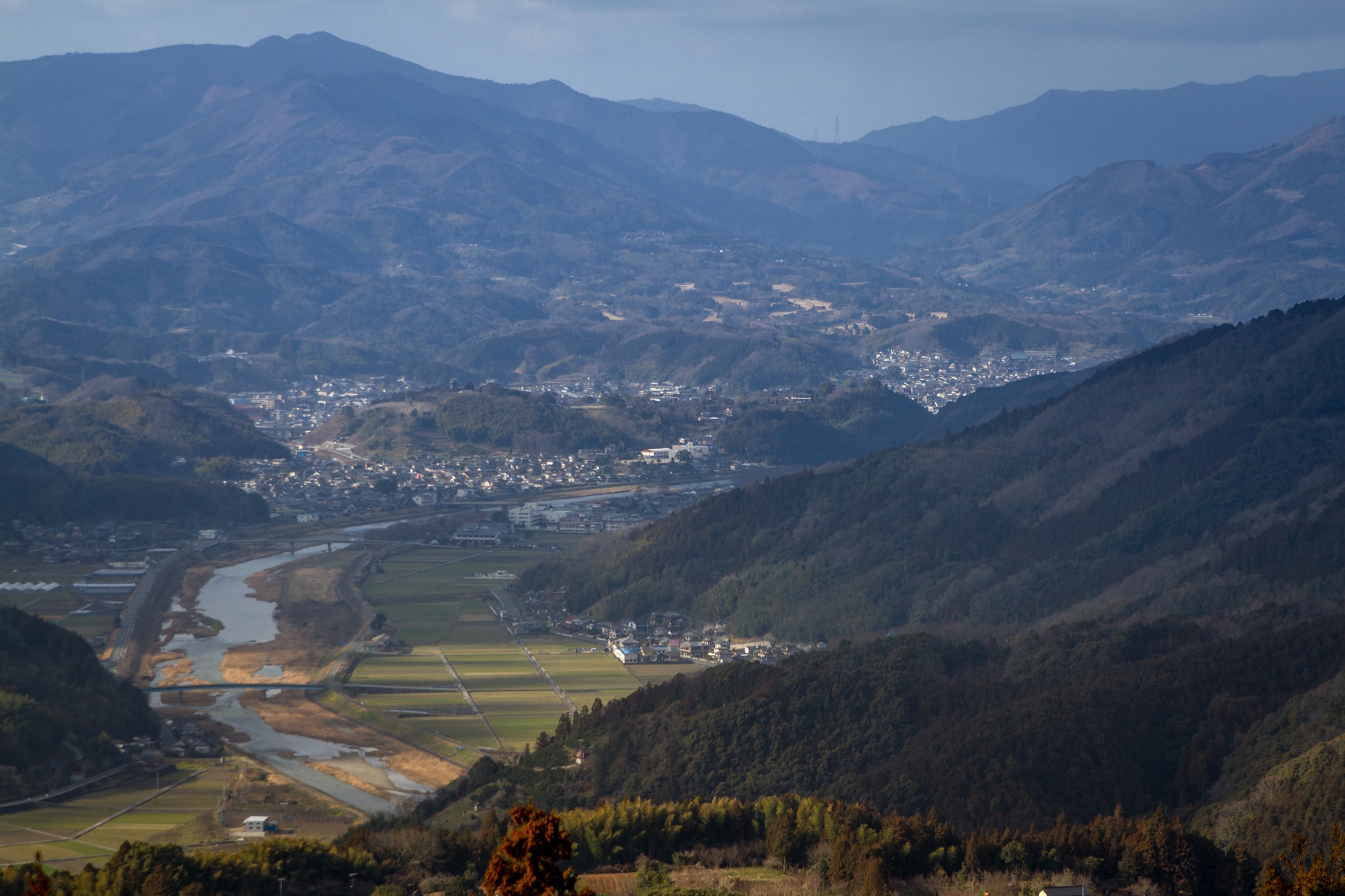 写真: IMG_3361