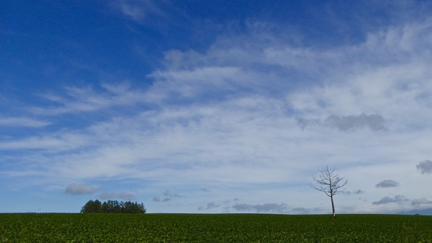 P1040576