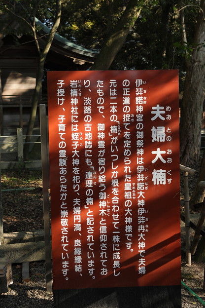 1S7A6373