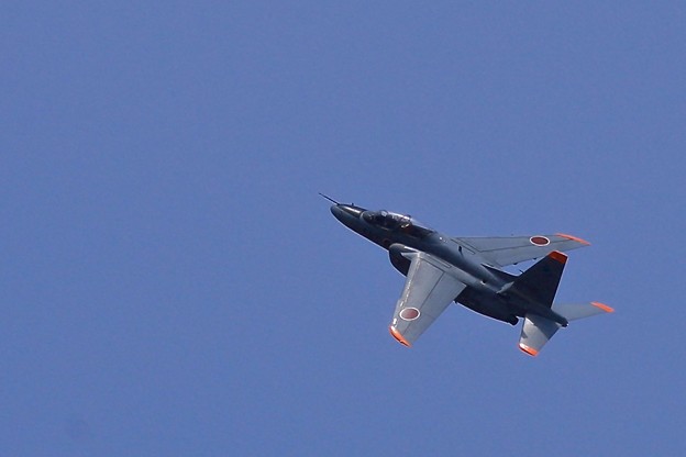 1S7A2031