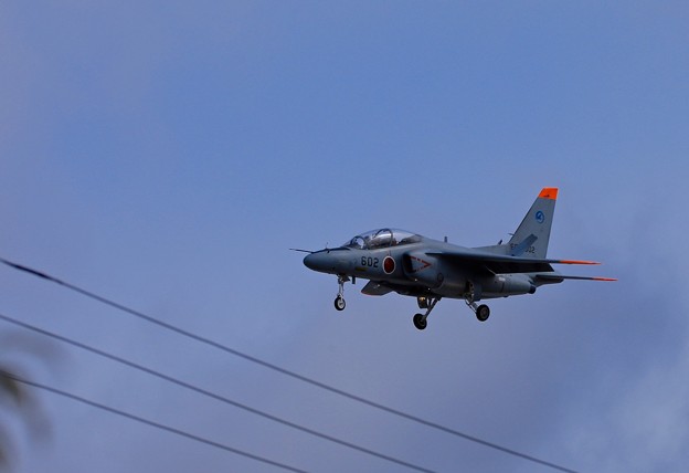 1S7A2037