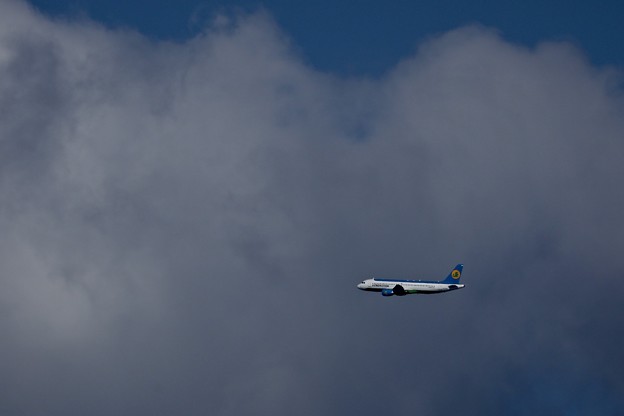 1S7A3488