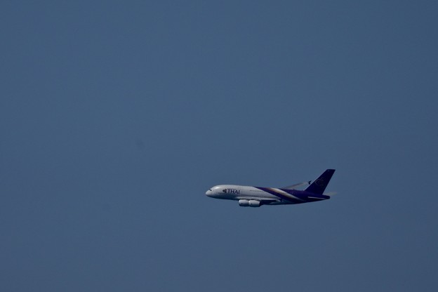 1S7A4998