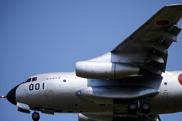 1S7A7486