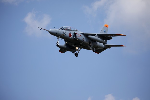 1S7A8317