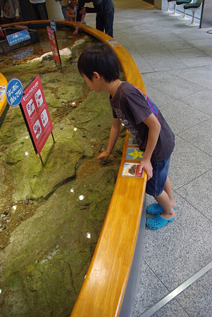 タッチングウォッチング