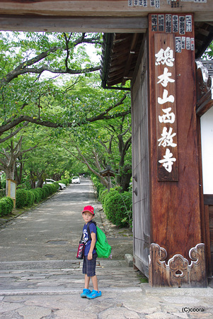 そろばん供養合宿in西教寺